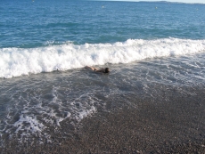 20060830184952.jpg